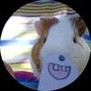 liliseths511